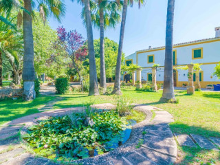 Agroturismo Finca Son Amora