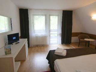 Izvorul cu Pastravi ( Poiana Tapului)