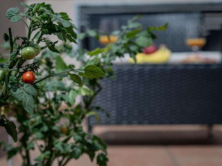 White Swan Boutique Apartments