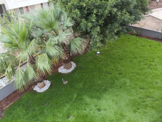 El Mundo Suites
