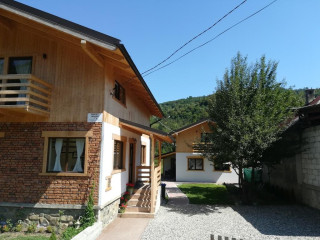 Guest House Carpathia (Viseu de Sus)