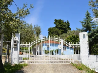 Orestis Suites