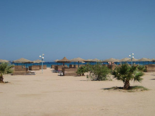 SHAMS SAFAGA