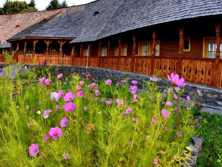 Pensiunea Plai cu Peri (Sapanta)