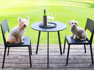 PETNEHAZY CLUB HOTEL