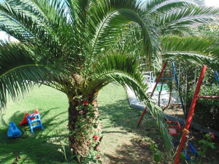 RIU Palace Hammamet Marhaba