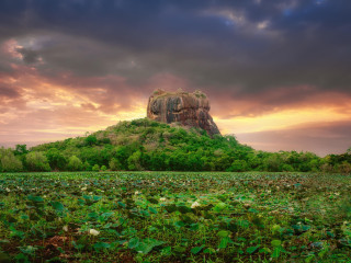 Circuit Descoperea Minunea Asiei - Sri Lanka
