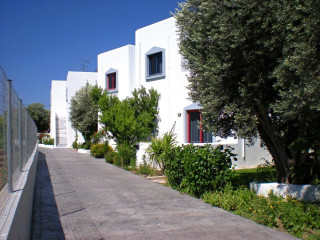 Triantafillas