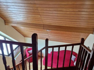 VILA PINUL SI MESTEACANUL