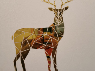 Cerbul Chalet Accommodation  Wellness