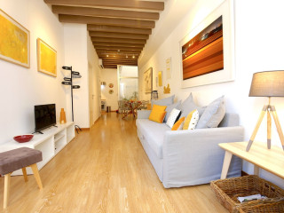 Sant Miquel Homes