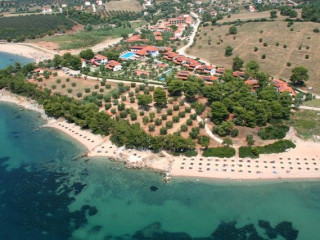 Blue Dolphin Hotel Chalkidiki