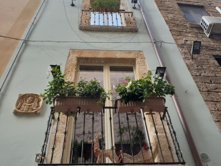 Bamp;B Dei Cardinale