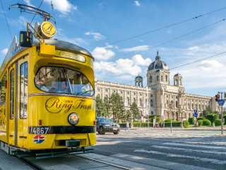 CIRCUIT 7 ZILE ALSACIA - COLMAR - ELVETIA