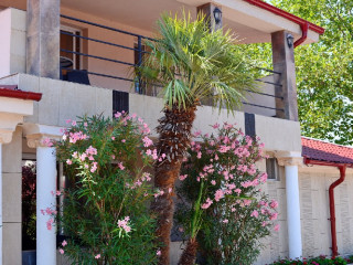 VOX MARIS GRAND RESORT cm