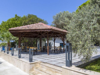 Risus Garden