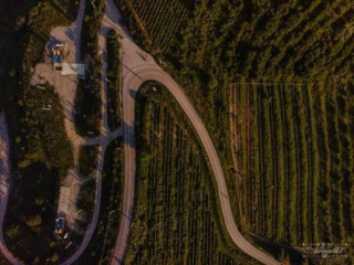 Complex Turistic Casa Seciu