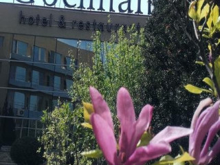 Hotel G G Gociman