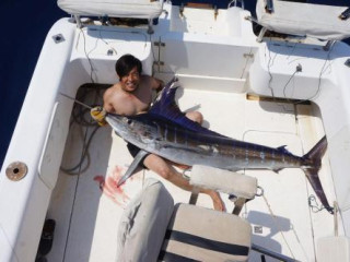 Game Fish Lodge