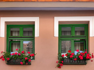 Blumenhaus Sibiu