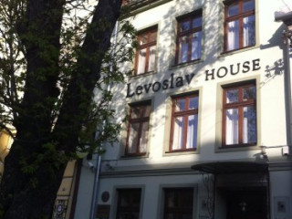 Villa Levoslav House