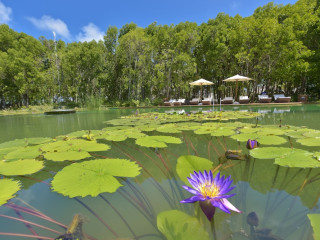 DREAMLAND UNIQUE SEA AND LAKE RESORT SPA