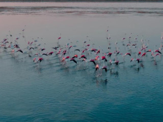 Hawar Resort si Formula 1 Grand Prix Ticket