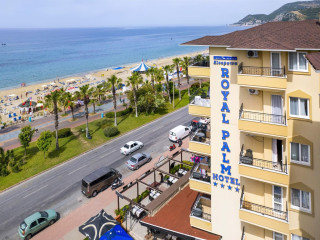 Kleopatra Royal Palm