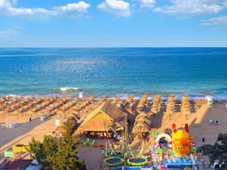 1-ST LINE IZVORA GOLDEN SANDS