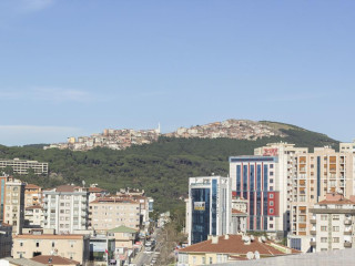 216 Palace