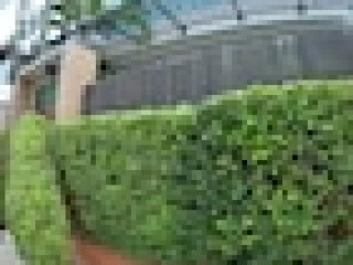 Abacus Villa