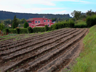 AGRITURISMO SAN MARTINO