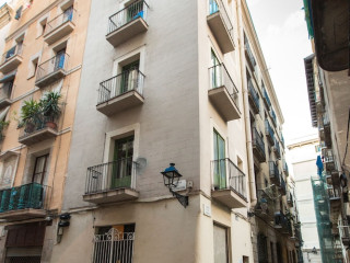 AinB Born Damas Studio