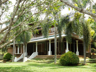 Airport Green Olive Villa