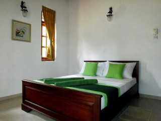 Airport Green Olive Villa