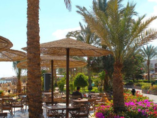 Albatros Royal Grand Sharm Beach  (Adults Only 16+)