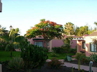 ALLSUN HOTEL ESPLENDIDO