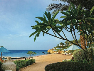 ALUA TENERIFE