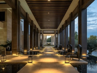 AMARA - SEA YOUR ONLY VIEW