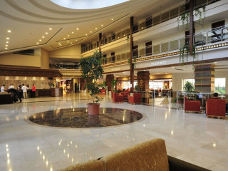 RIAD ALAKA