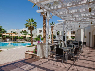 AMPHORAS AQUA EX: SHORES GOLDEN