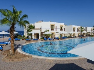 AMPHORAS BLU EX: SHORES ALOHA 