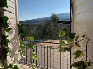 Anastasios Olive Garden Apartments
