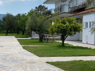 Anastasios Olive Garden Apartments