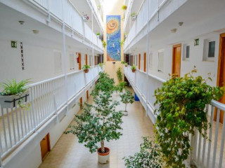 Apartamentos Avenida