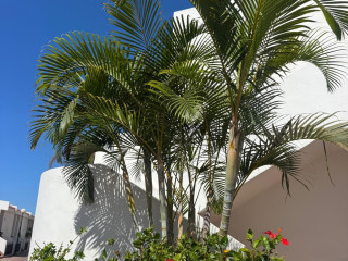 Apartamentos Malibu Park