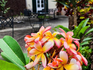 Apartamentos Sao Paulo e Alegria