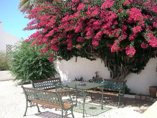 Apartamentos Turísticos Sollagos