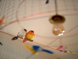 APOLONIA PARIS MONTMARTRE, SURE COLLECTION BY BW