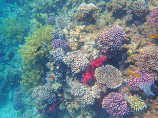 Arabella Azur Resort